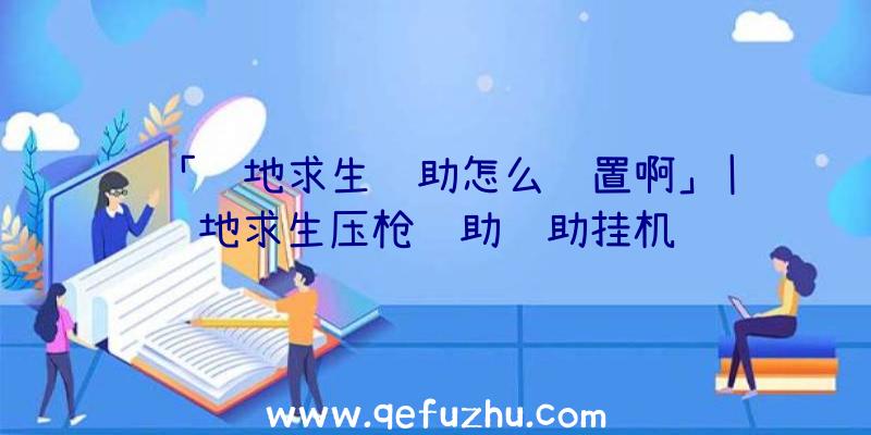 「绝地求生辅助怎么设置啊」|绝地求生压枪辅助辅助挂机